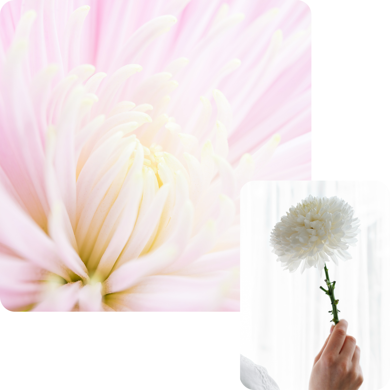 お気持ちに寄り添う式にいたします。